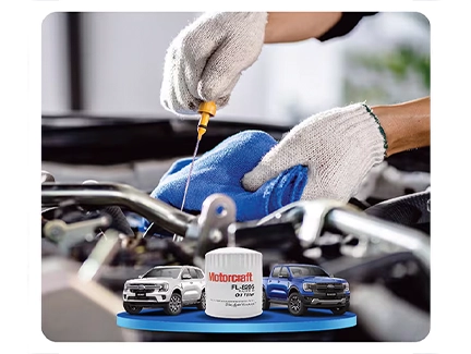 CHĂM SÓC KHÁCH HÀNG QUÁ HẠN BẢO DƯỠNG RANGER VÀ EVEREST (*)