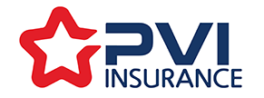 logo-pvi