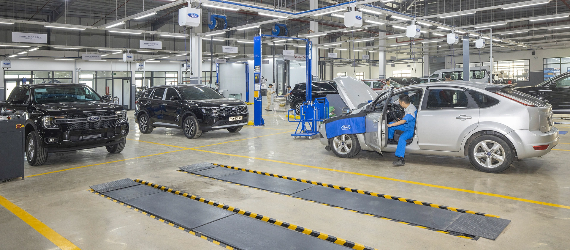 Multiple Ford cars