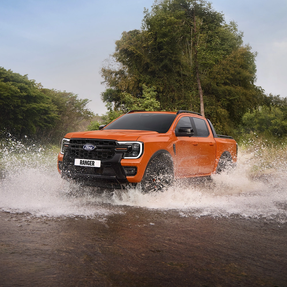 Orange Raptor in Water on Overview