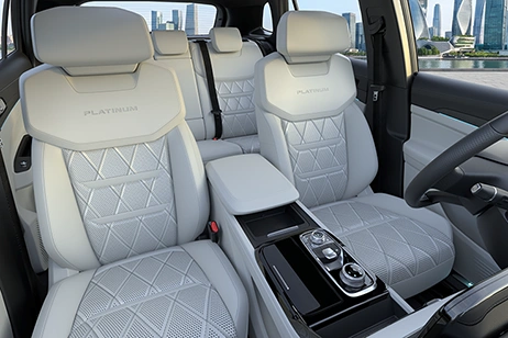 Ford Terriotoy Platinum interior view upgraded seating