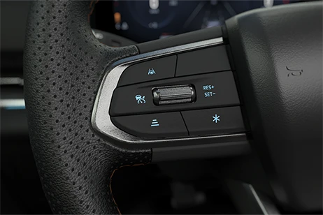 Car steering wheel controls