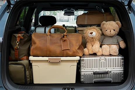 interior front view of back seat with loaded stufftoys bag