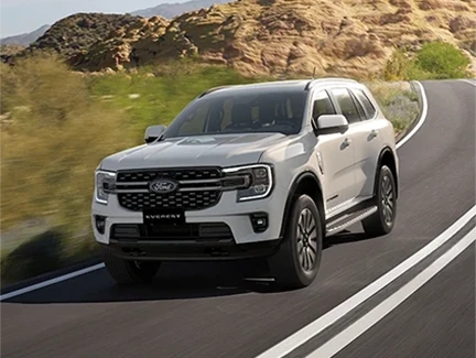 Everest Platinum