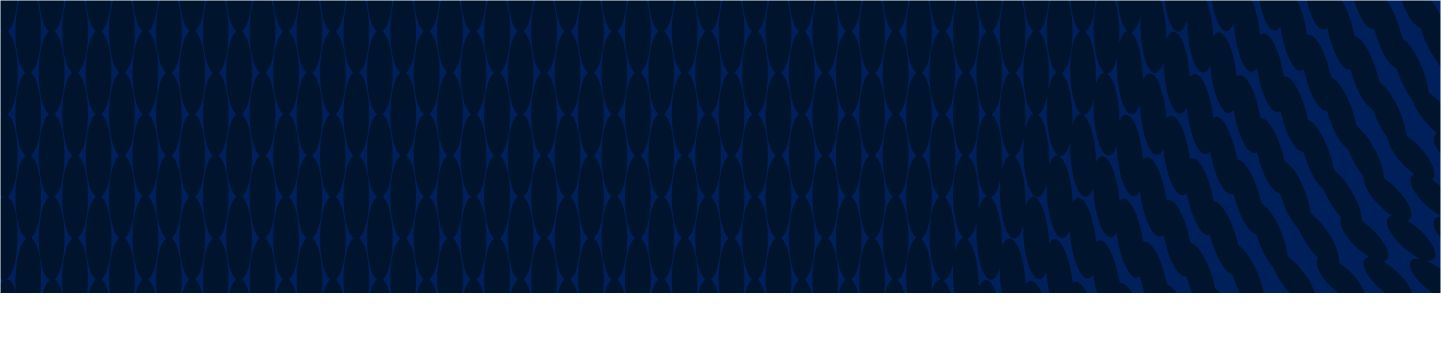 Ford-Viet-Nam-mo-rong-mang-luoi-dai-ly | KBA Banner