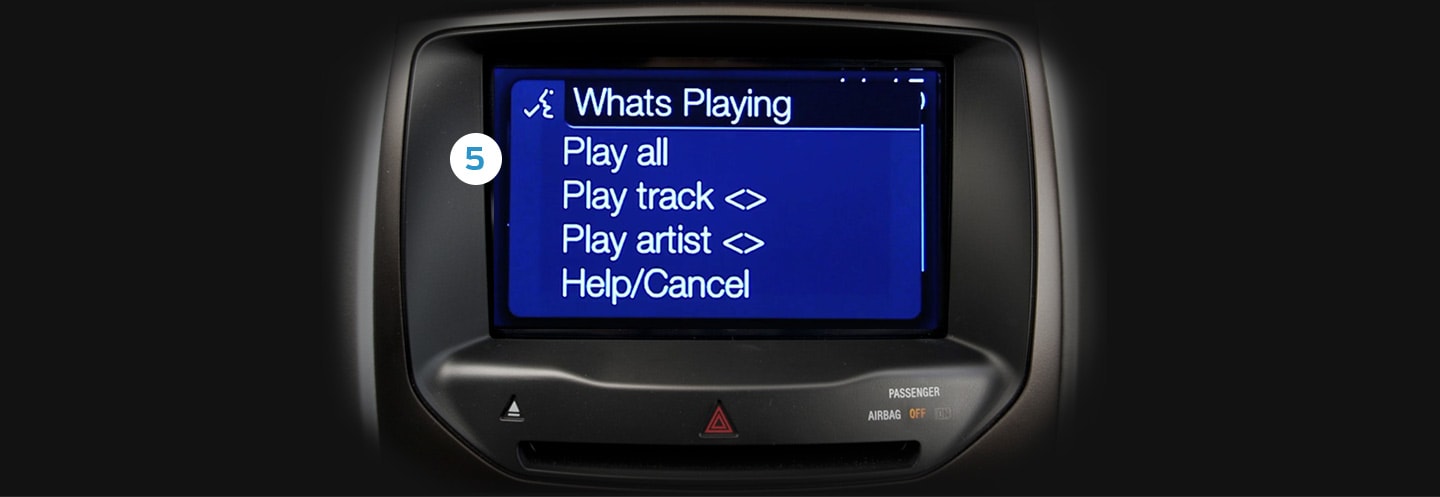 play-music-on-your-usb-device-or-iPod